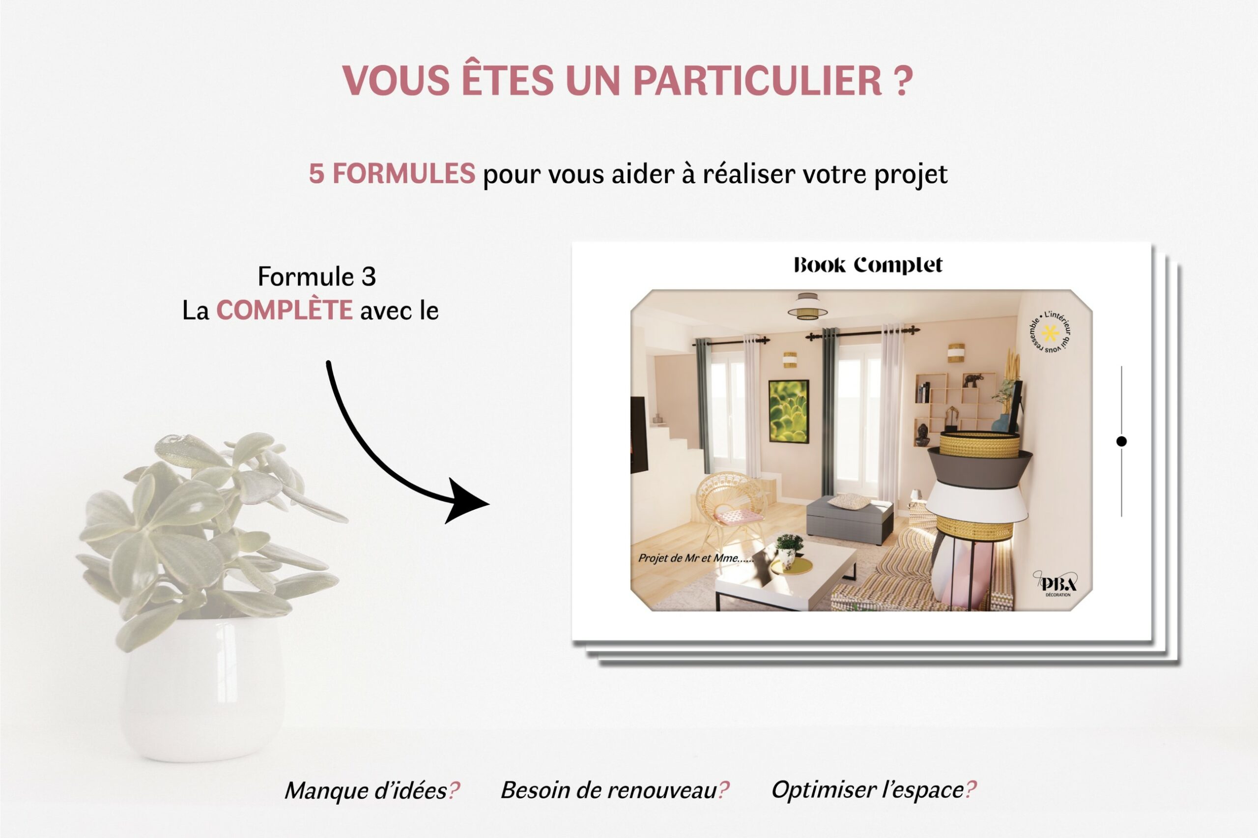 Vous etes un particulier-3 book complet petit format