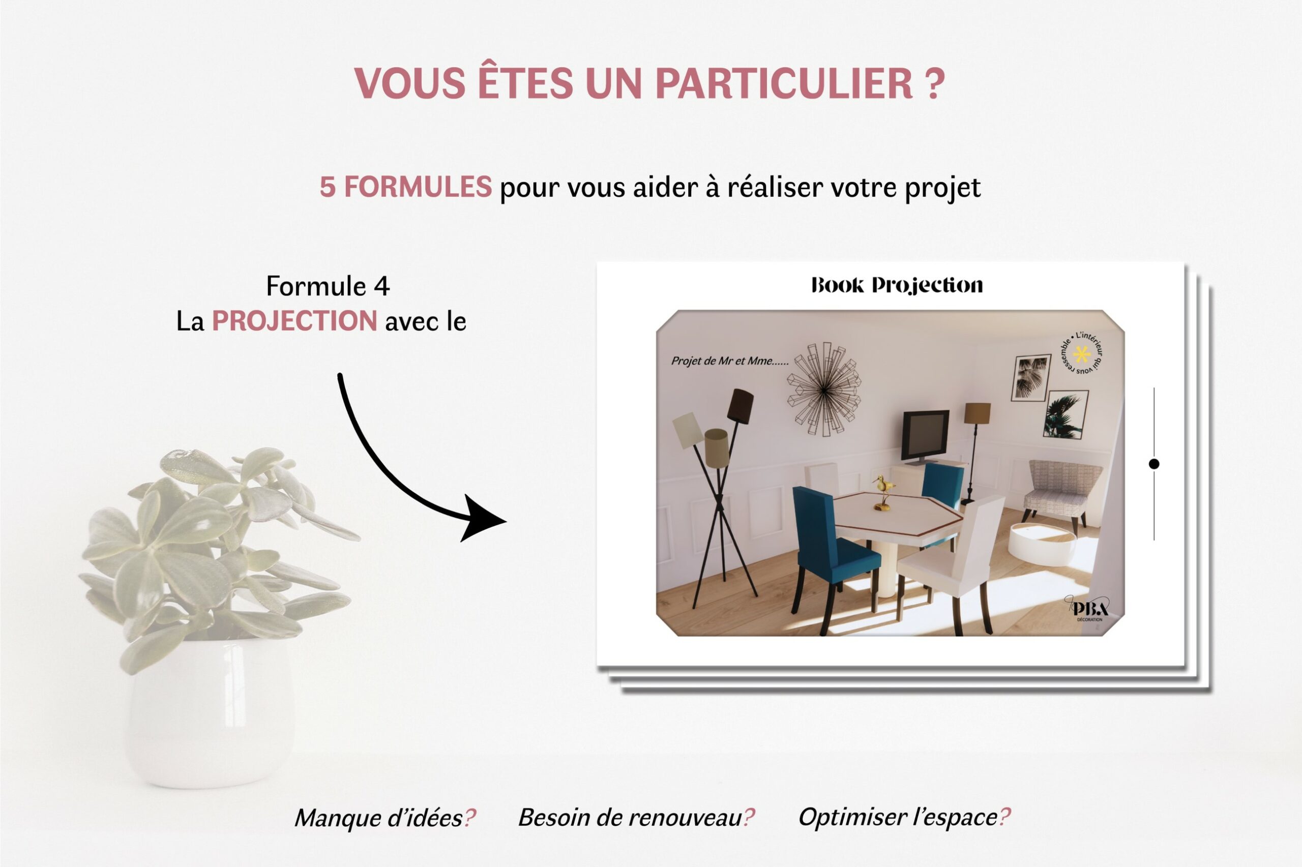 Vous etes un particulier-3 book projection petit format